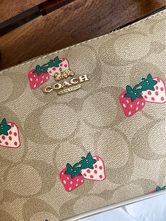 Coach Coach