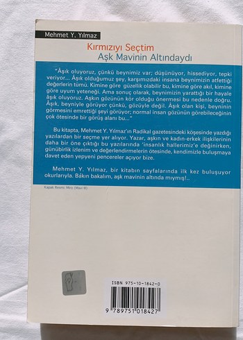 Kırmızıyı Seçtim & Aşk Mavinin Altındaydı - Görsel 2