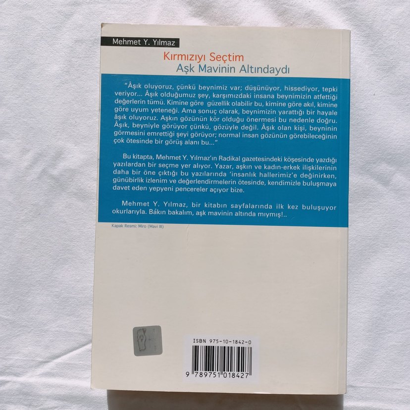 Kırmızıyı Seçtim & Aşk Mavinin Altındaydı - Görsel 2