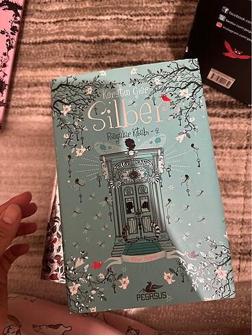 silber serisi - Görsel 5