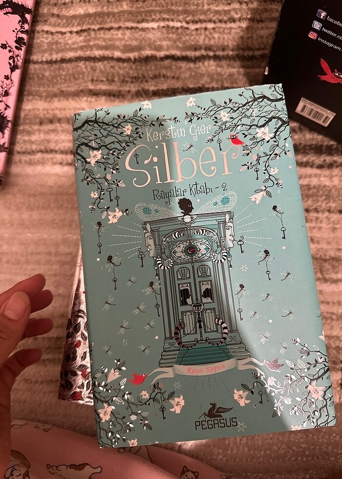 silber serisi - Görsel 5