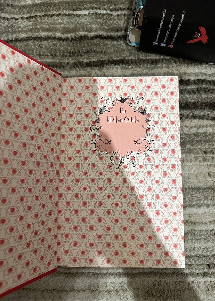 silber serisi - Görsel 4