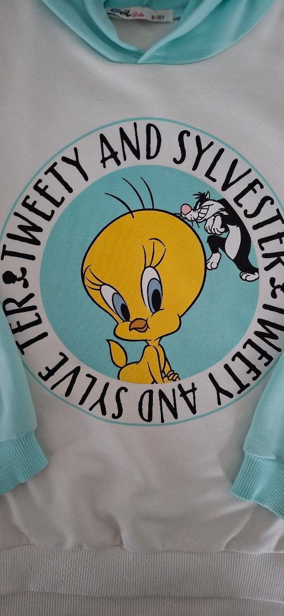 Sweatshirt Kapüşonlu Orjinal  - Görsel 5