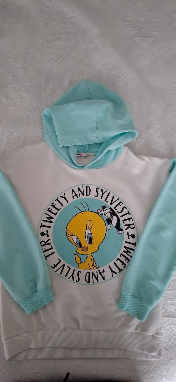 Sweatshirt Kapüşonlu Orjinal  - Görsel 2