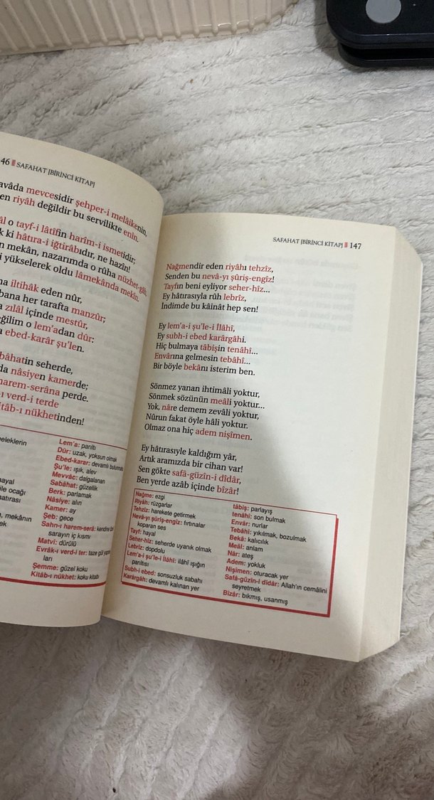 Mehmet Akif Ersoy - Safahat Biyografi Kitabı - Görsel 2