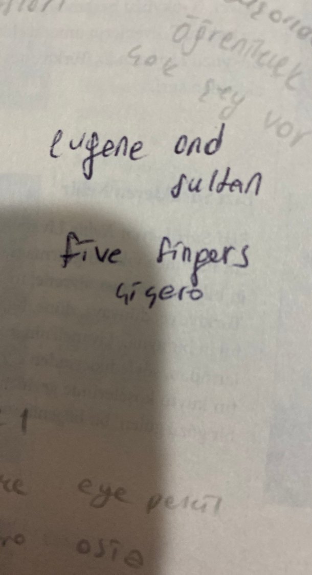 Serenad - Zülfü Livaneli - Görsel 4