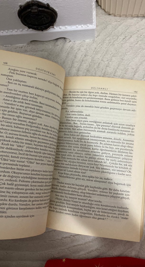 Delikanlı - Dostoyevski - Görsel 2