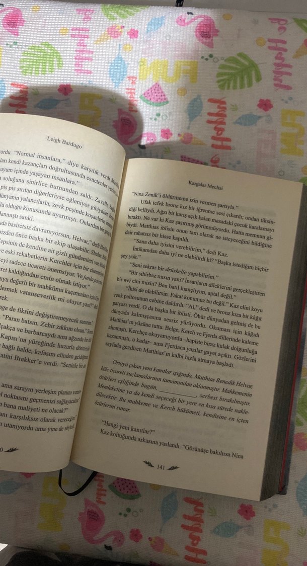 Kargalar Meclisi - Leigh Bardugo - Görsel 3