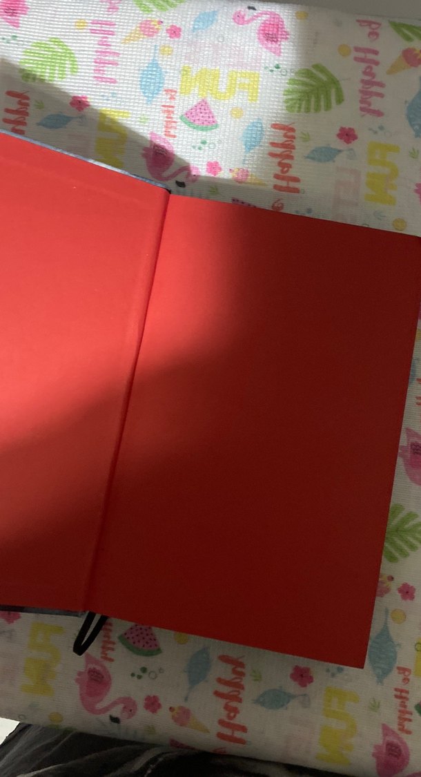 Kargalar Meclisi - Leigh Bardugo - Görsel 2