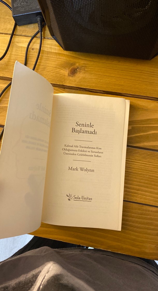 Seninle Başlamadı - Mark Wolynn - Görsel 3