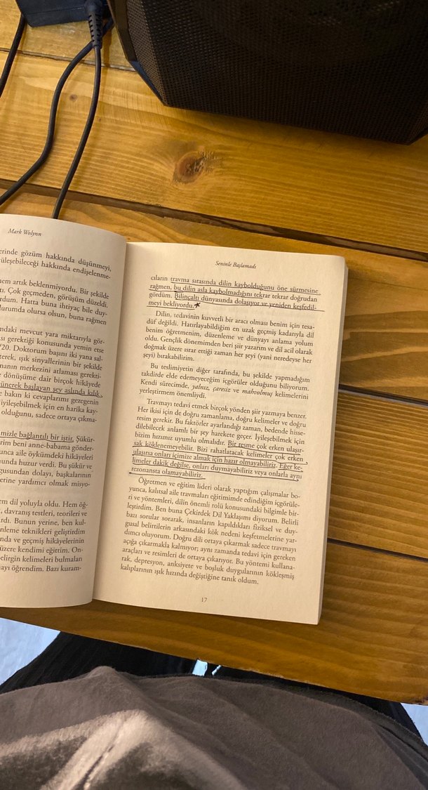 Seninle Başlamadı - Mark Wolynn - Görsel 2