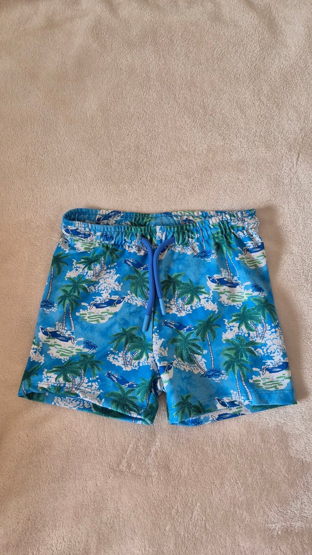 Renkli Bohem Erkek Şortları - Görsel 4