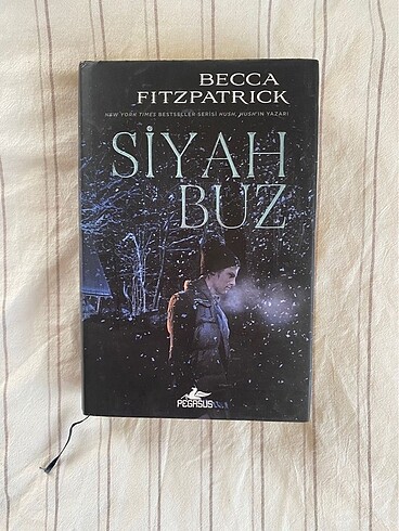 Siyah Buz Becca Fitzpatrick