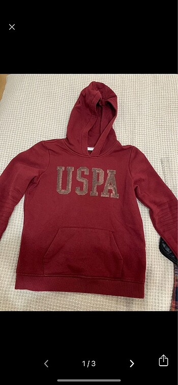 uspa bordo sweat