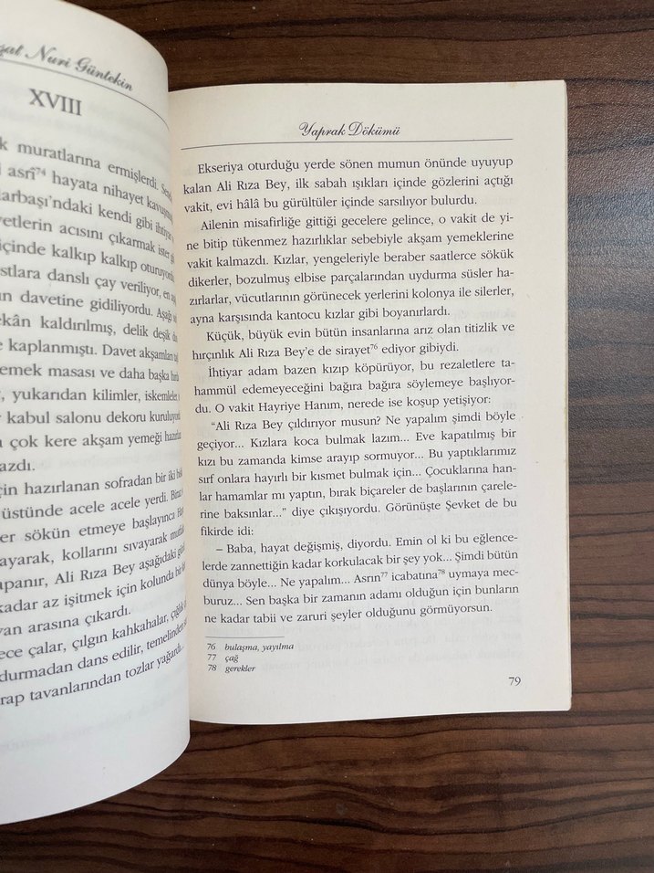 Yaprak Dökümü - Görsel 2