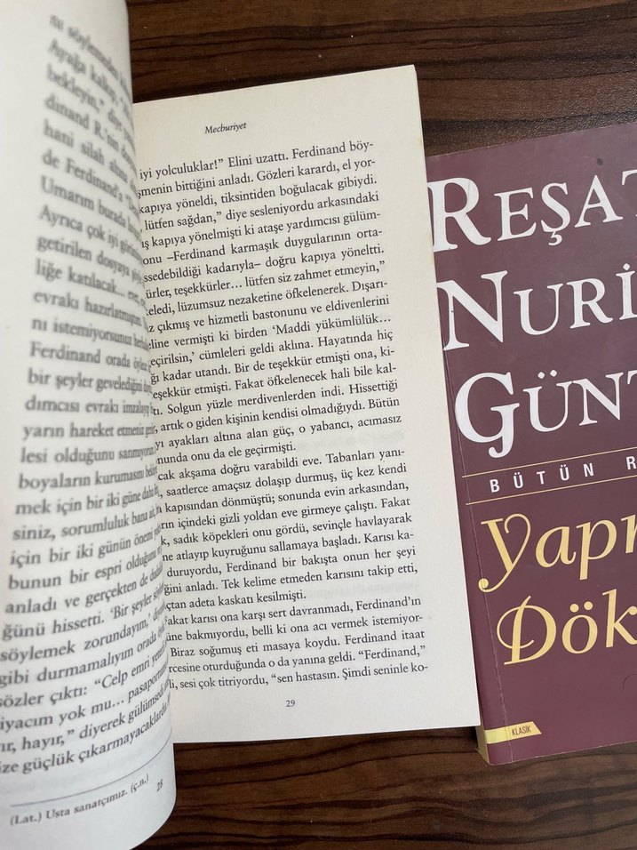 Tolstoy Stefan Zweig - Görsel 2