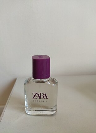 Zara gardenia