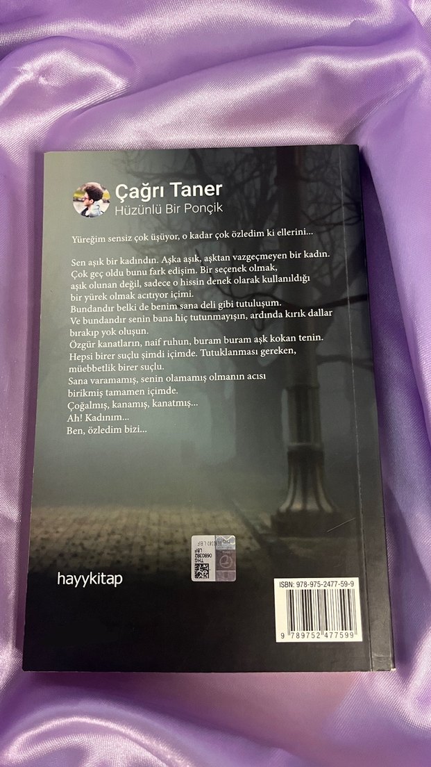 Hüzünlü Bir Ponçik - Çağrı Taner - Görsel 2