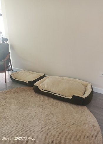  Beden Haki yeşil Kenarlı krem köpek yatağı