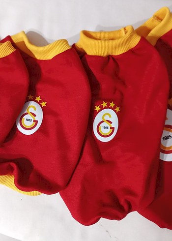Özel ilan Köpek Kıyafeti