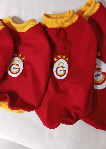  Beden Özel ilan Köpek Kıyafeti