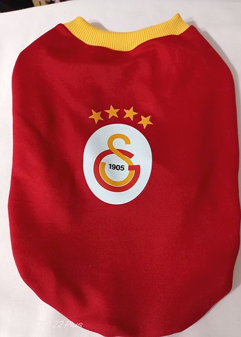  Özel ilan Köpek Kıyafeti