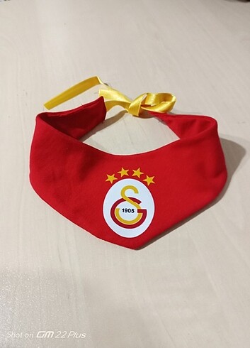Beden Taraftar Kedi ve köpek fular