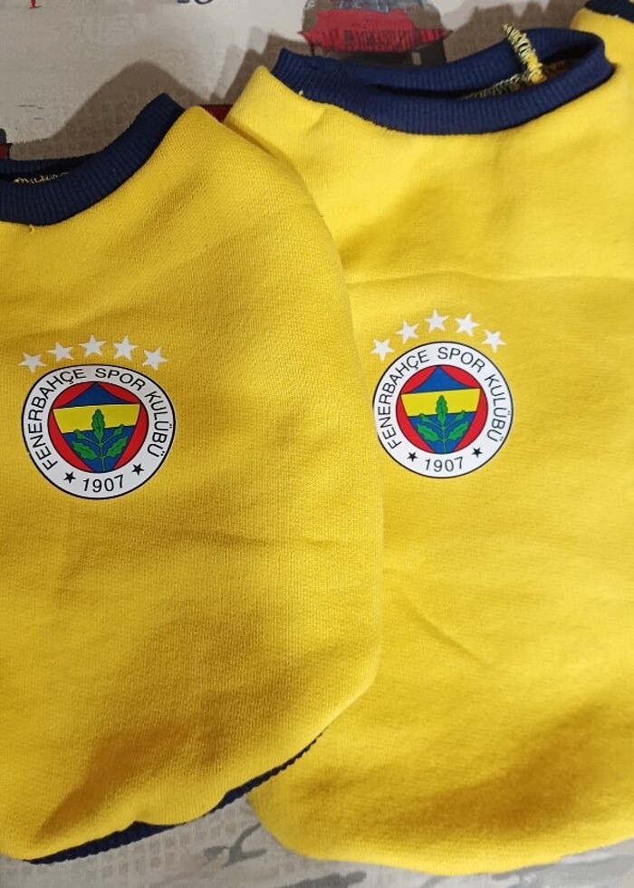 Taraftar kedi ve köpek kıyafeti - Görsel 2