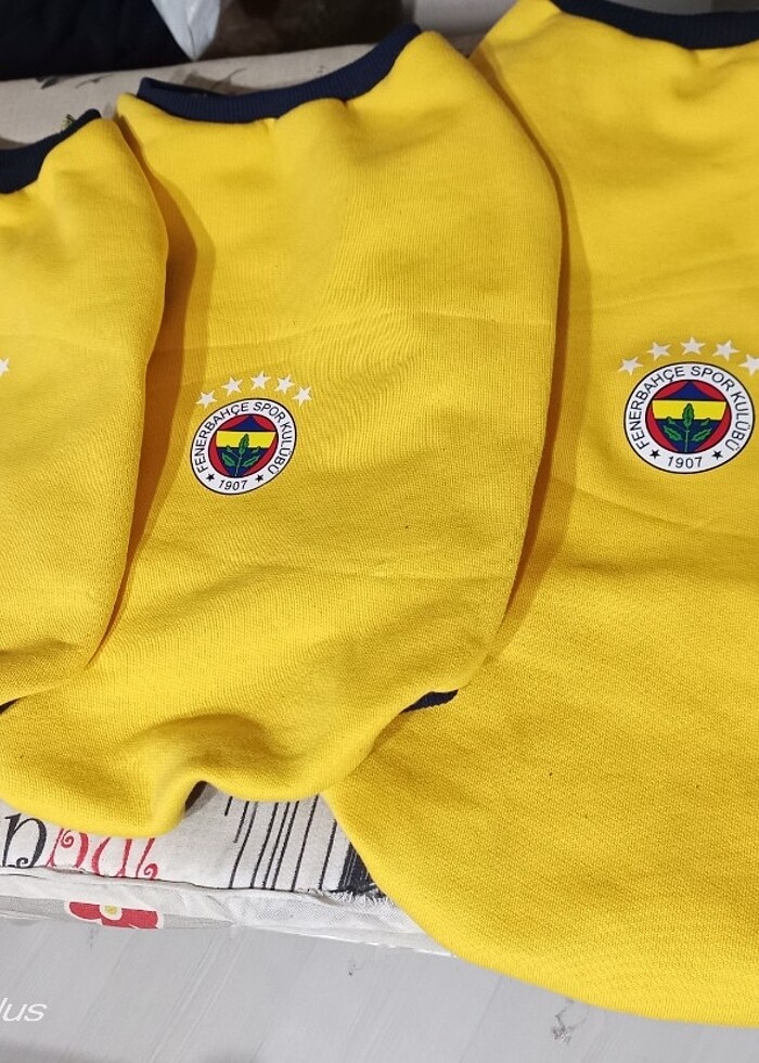 Taraftar kedi ve köpek kıyafeti - Görsel 3