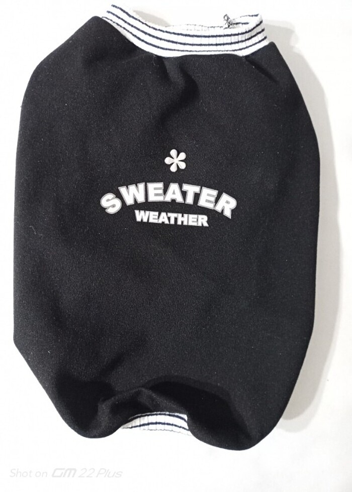 Kedi ve köpek kıyafetleri - Görsel 2