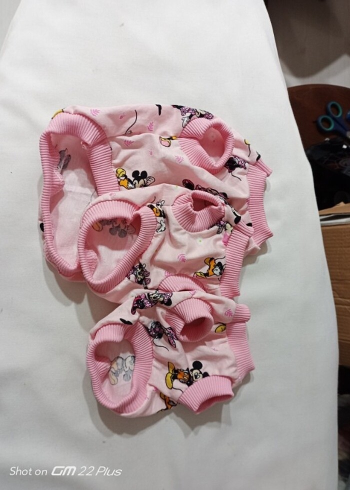 Yavru kedi ve köpek kıyafeti - Görsel 2