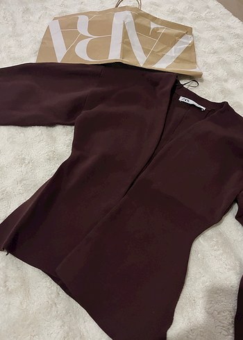 Bordo V Yaka Çelik Bluz Zara