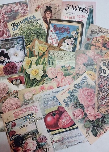 Scrapbook Kağıdı Vintage Bullet Journal Seti 