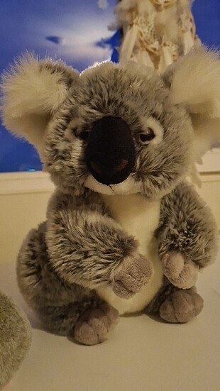 peluş koala