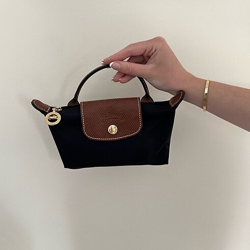 Longchamp Pouch