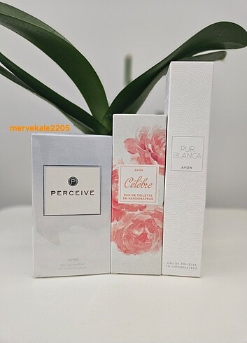 Perceive 