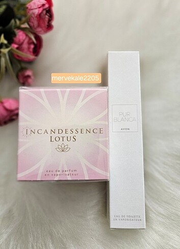 İncandessence lotus