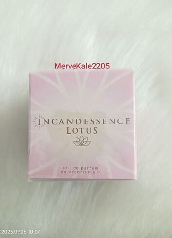 İncandessence lotus