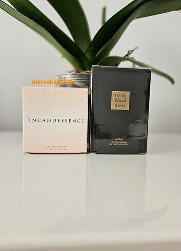 Avon İncandessence