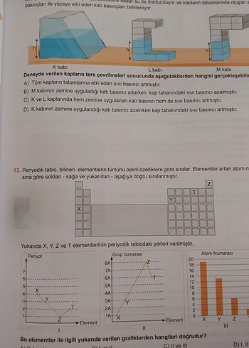 Fenomen 8. Sınıf 1. Dönem Deneme Paketi - Görsel 5