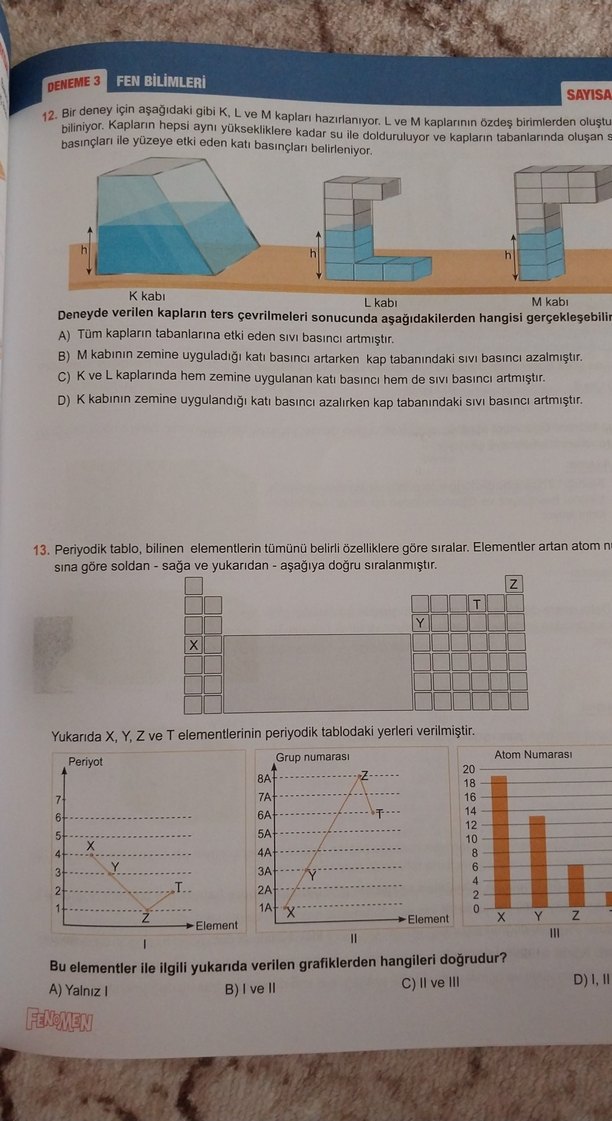 Fenomen 8. Sınıf 1. Dönem Deneme Paketi - Görsel 5