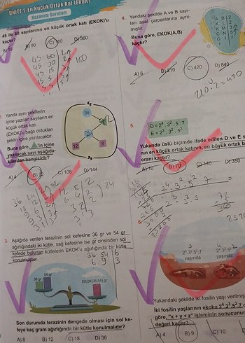 Fenomen 8. Sınıf Matematik Soru Bankası - Görsel 5