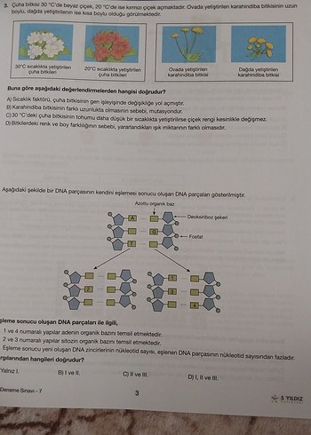 5 Yıldız Fen Bilimleri 10 Deneme Kitabı - Görsel 3