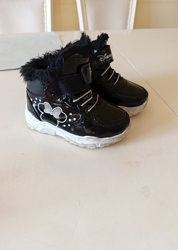 Walt Disney World 25