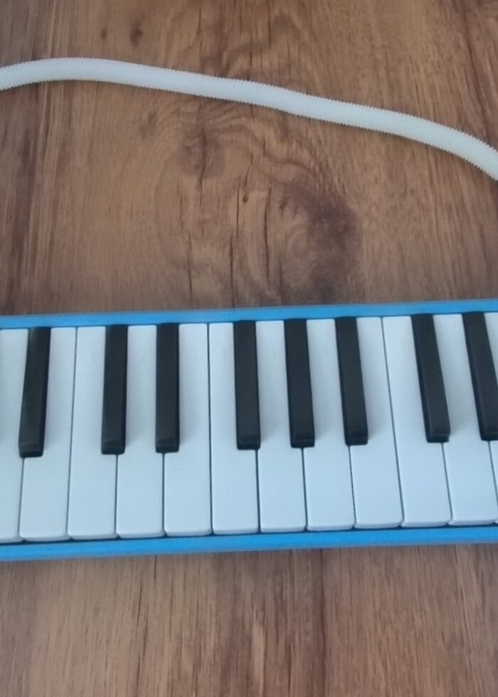 Üflemeli piyano  - Görsel 2