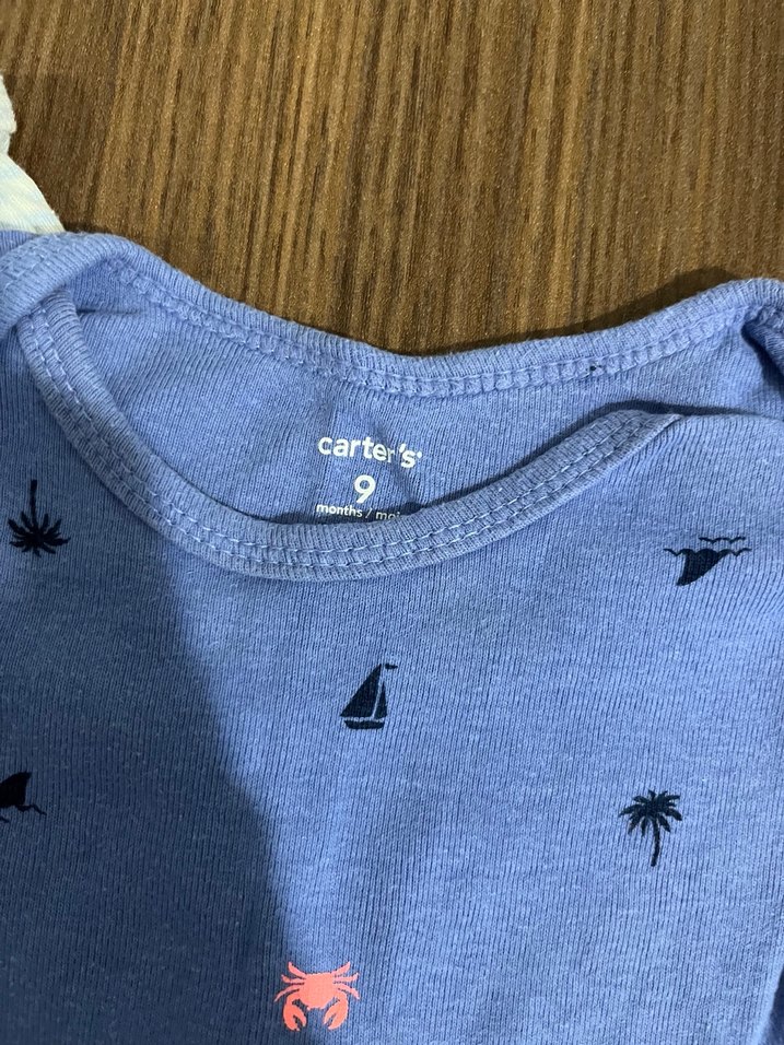 Mavi Kısa Kollu Bebek Body Seti - Görsel 2