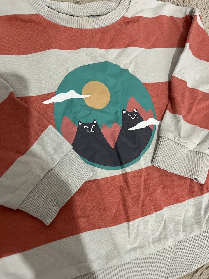 Erkek Çocuk Uzun Kollu Baskılı Sweatshirt - Görsel 2