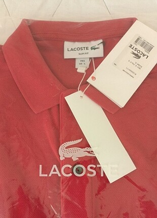 L beden lacoste