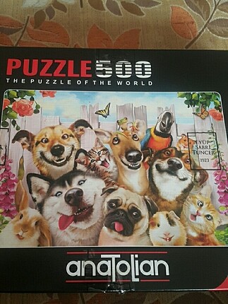  Beden Renk Puzzle 