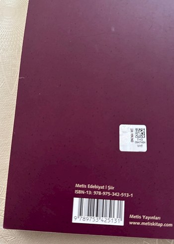 Birhan Keskin - Kim Bağışlayacak Beni - Görsel 2